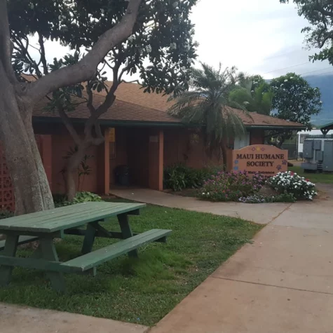 Maui Humane Society